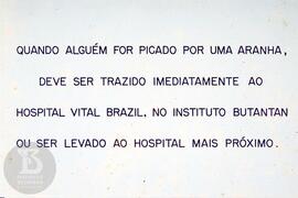 Material didático sobre aranhas. Reprodução de texto  sobre o que fazer em caso de picada de aranha