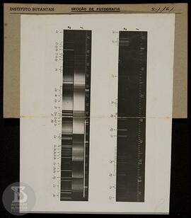 Gráfico sem legenda. Ficha da Seção de fotografia nº 1161, solicitação da Seção de águas minerais...