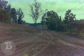 Construção do Parque de Saúde Pública do Instituto Butantan. [Obras de arruamento]