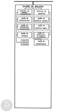 Organograma "Divisão da Biologia"
