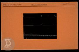 Reprodução de gráfico. Ficha da Seção de fotografia nº 98, solicitado pela Seção de Fisiologia (D...