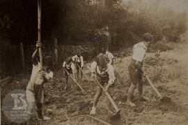 Preparo do terreno para plantio de milho.