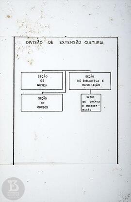 Organograma "Divisão de Extensão Cultural"