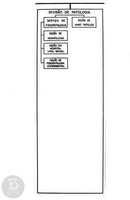 Organograma "Divisão de Patologia"
