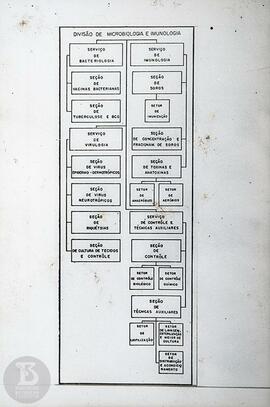 Organograma "Divisão de Microbiologia e Imunobiologia"