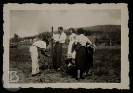 Série de fotos de alunos e professores cuidando da horta.