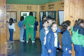 Estudantes do Colégio Docas observando expografia do Museu Biológico