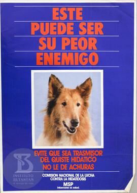 Este puede ser su peor enemigo. Evite que sea transmisor del quiste hidatico no le de achuras