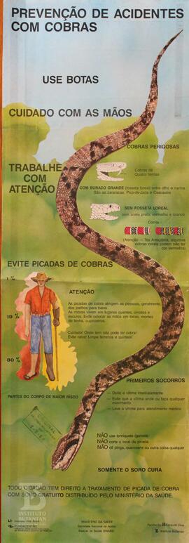 Prevenção de acidentes com cobras
