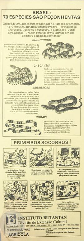 Brasil: 70 espécies são peçonhentas