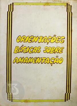 Orientações básicas sobre amamentação