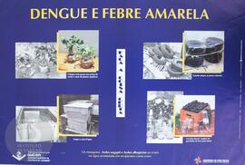 Dengue e febre amarela: faça a coisa certa