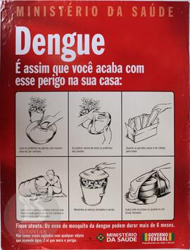 Dengue: é assim que você acaba com esse perigo na sua casa: