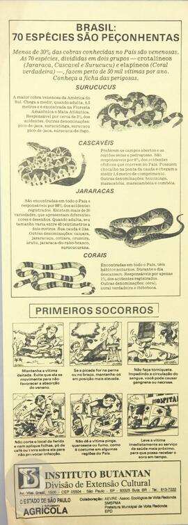 Brasil: 70 espécies são peçonhentas