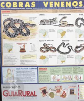 Cobras venenosas do Brasil