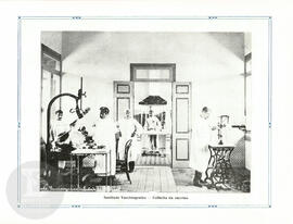 Instituto Vaccinogenico - Colheita da vaccina