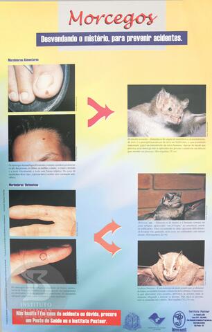 Original Objeto digital not accessible