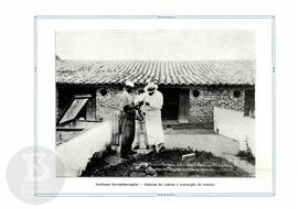 Instituto Serumtherapico - Gaiolas de cobras e extracção do veneno