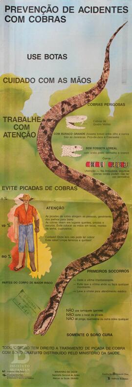 Prevenção de acidentes com cobras