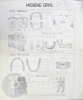 Higiene Oral