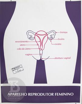 Aparelho reprodutor feminino