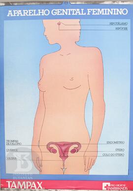 Aparelho genital feminino