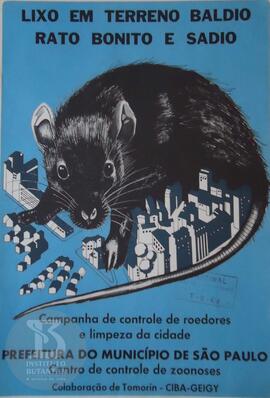 Lixo em terreno baldio: rato bonito e sadio