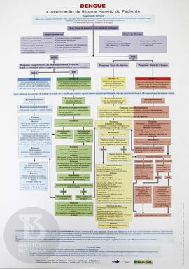 Dengue: Classificação de Risco e Manejo do paciente
