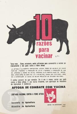 10 razões para vacinar