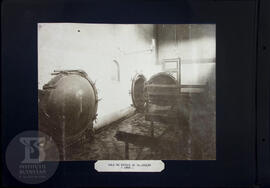 Sala de estufa da 1ª secção