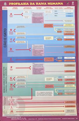 Profilaxia da raiva humana