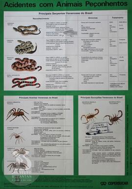 Acidentes com animais peçonhentos