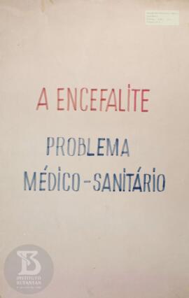 A Encefalite. Problema médico-sanitário