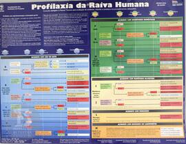 Profilaxia da raiva humana