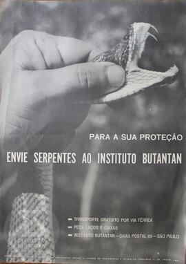Para sua proteção, envie serpentes ao Instituto Butantan