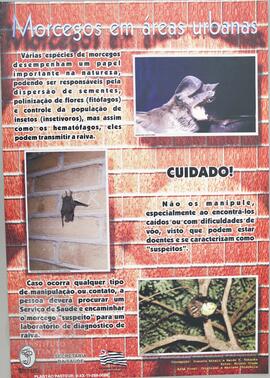 Morcegos em áreas urbanas