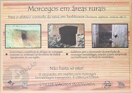 Morcegos em áreas rurais