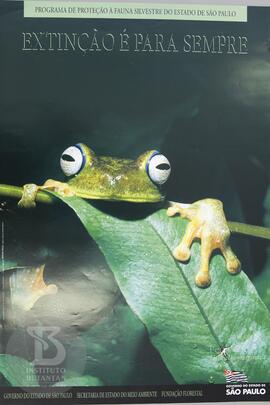 Extinção para sempre