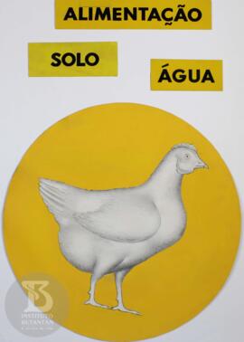 Placas  "Determinantes da Saúde"