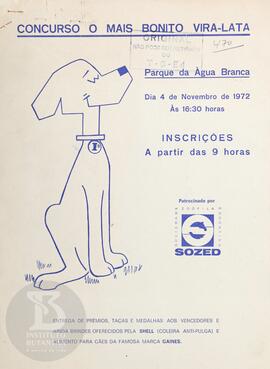 Concurso o mais bonito vira-lata