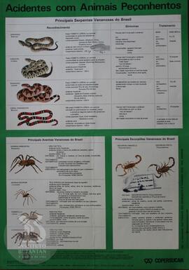 Acidentes com animais peçonhentos